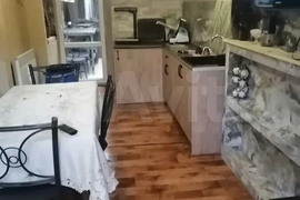 Дом 48 м² на участке 1,1 га