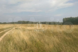 Участок 15 сот. (ИЖС), Лихуны